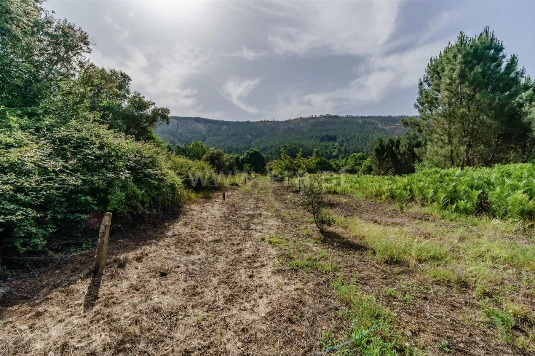 Terreno para Venda em Paul Foto 5