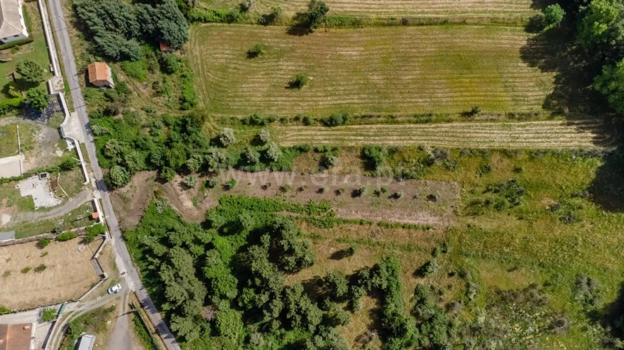Terreno para Venda em Paul