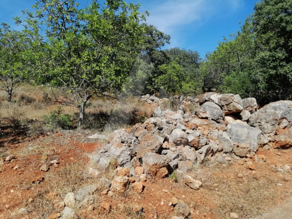 Terreno para Venda em Querença, Tôr e Benafim Foto 13