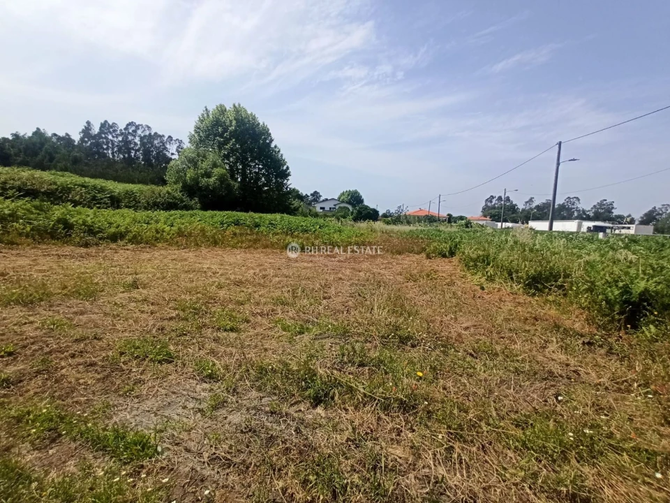 Terreno para Venda em Ferreira-A-Nova Foto 3