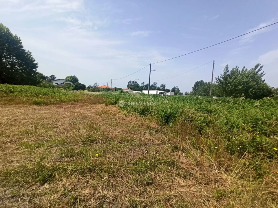 Terreno para Venda em Ferreira-A-Nova Foto 4