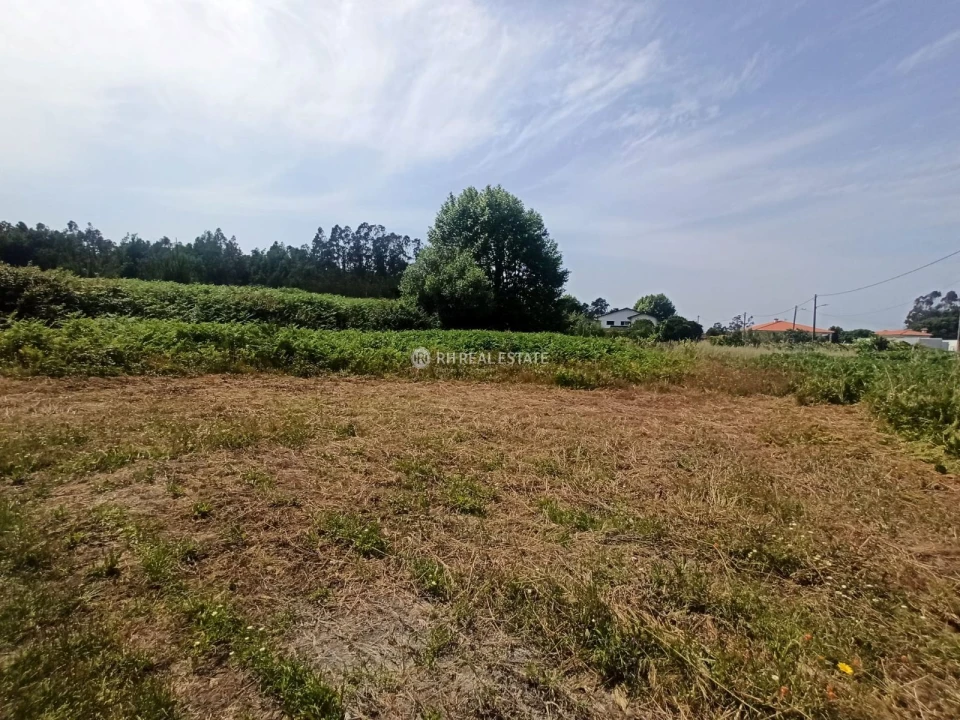 Terreno para Venda em Ferreira-A-Nova Foto 5