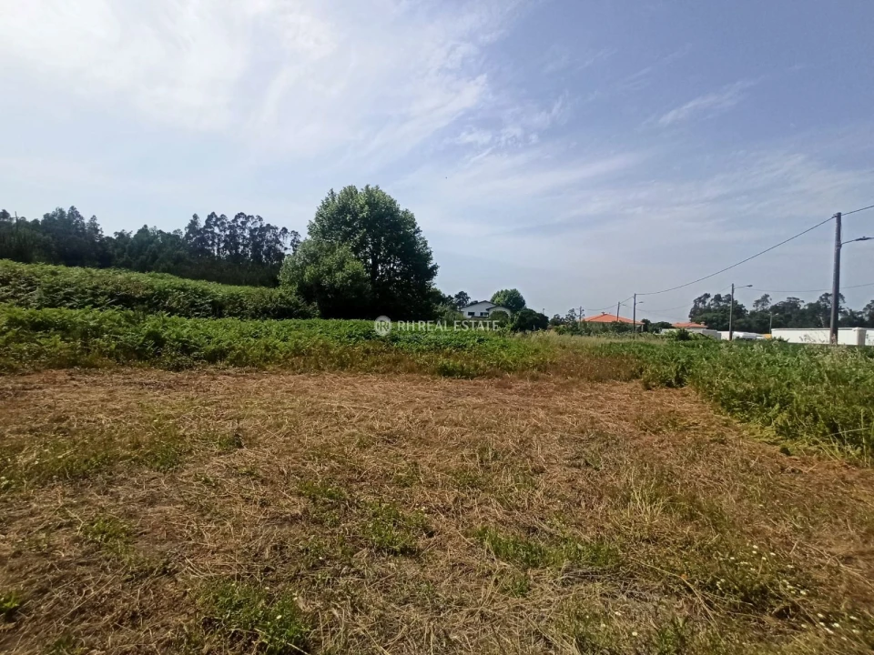 Terreno para Venda em Ferreira-A-Nova Foto 7