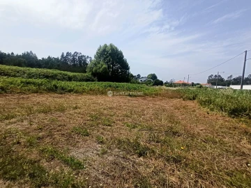 Terreno para Venda em Ferreira-A-Nova