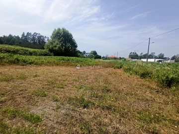 Terreno para Venda em Ferreira-A-Nova