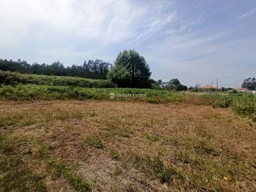 Terreno para Venda em Ferreira-A-Nova
