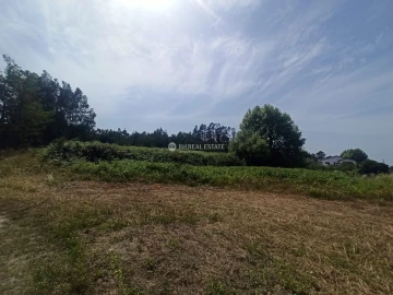 Terreno para Venda em Ferreira-A-Nova