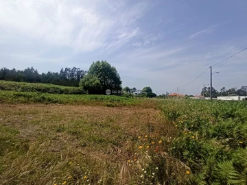 Terreno para Venda em Ferreira-A-Nova