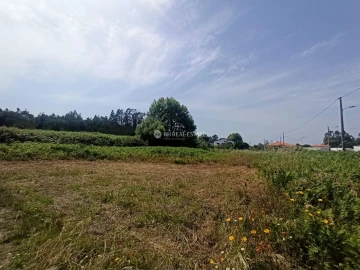 Terreno para Venda em Ferreira-A-Nova