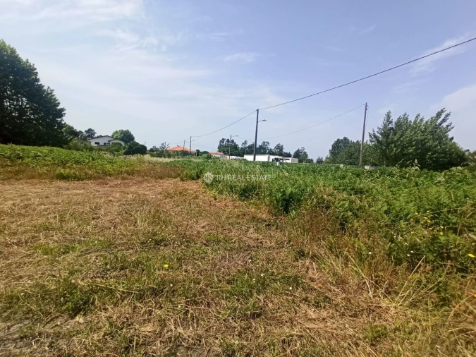 Terreno para Venda em Ferreira-A-Nova Foto 4