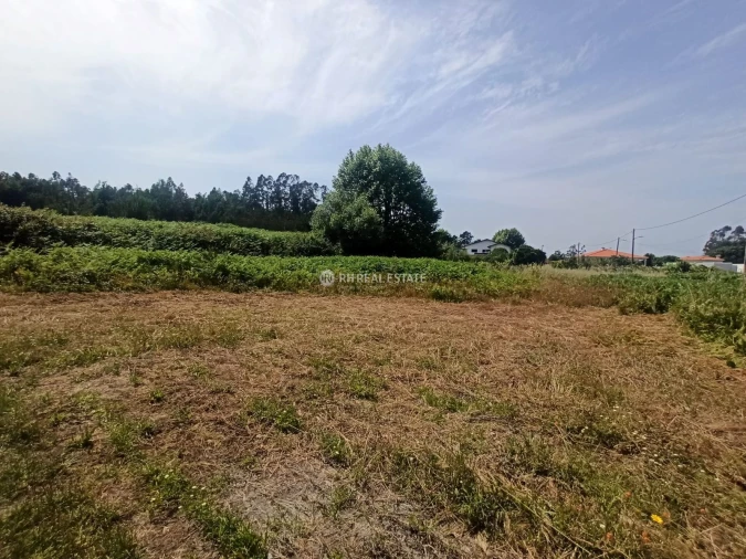 Terreno para Venda em Ferreira-A-Nova Foto 5