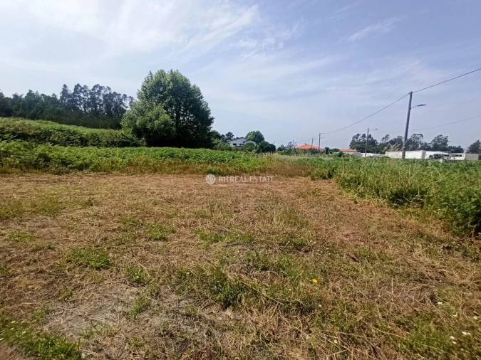 Terreno para Venda em Ferreira-A-Nova Foto 6