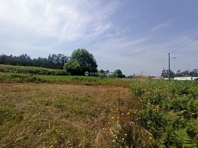 Terreno para Venda em Ferreira-A-Nova Foto 10