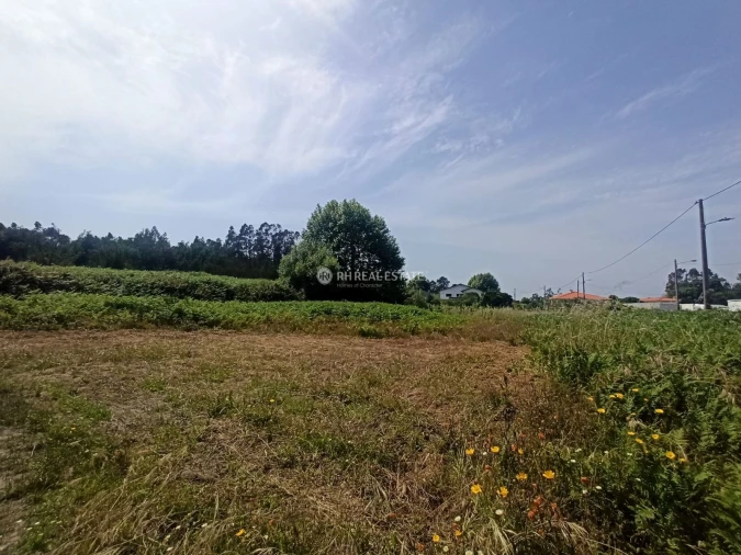 Terreno para Venda em Ferreira-A-Nova Foto 12
