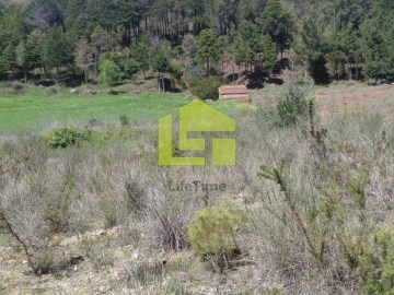 Terreno para Venda em Assafarge e Antanhol