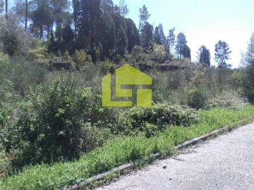 Terreno para Venda em Assafarge e Antanhol