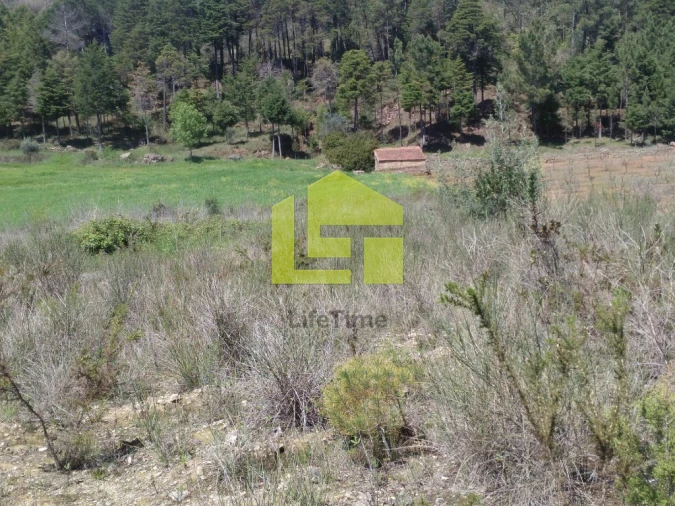 Terreno para Venda em Assafarge e Antanhol Foto 5