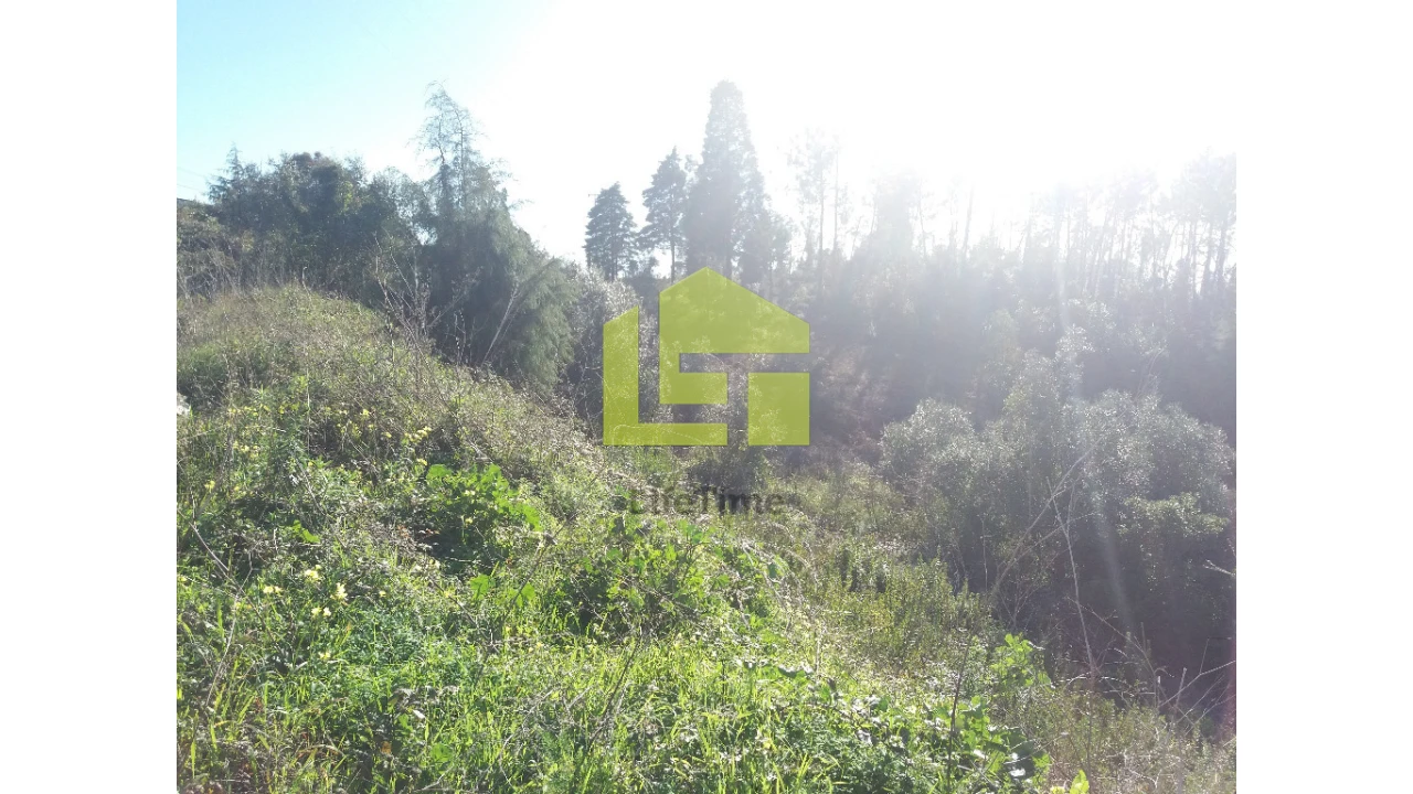 Terreno para Venda em Assafarge e Antanhol Foto 1