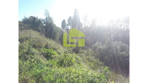 Terreno para Venda em Assafarge e Antanhol