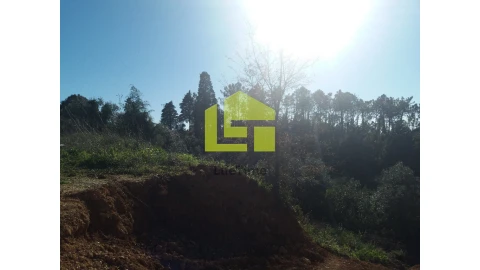 Terreno para Venda em Assafarge e Antanhol