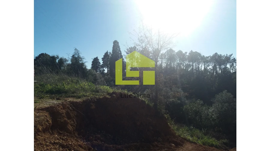 Terreno para Venda em Assafarge e Antanhol Foto 4