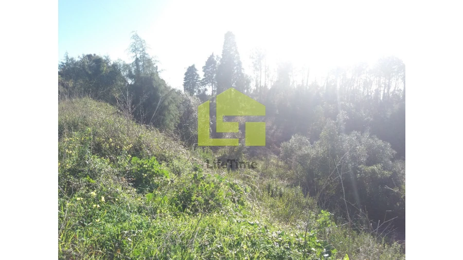 Terreno para Venda em Assafarge e Antanhol Foto 2