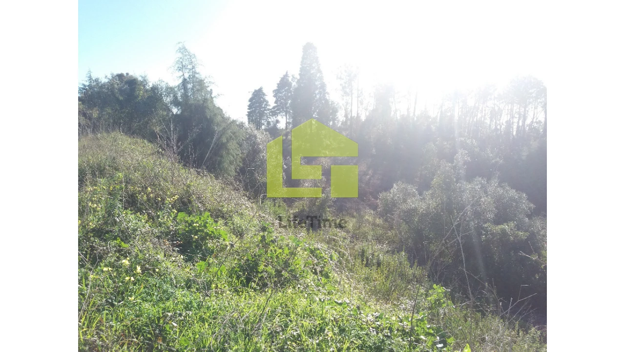 Terreno para Venda em Assafarge e Antanhol Foto 2