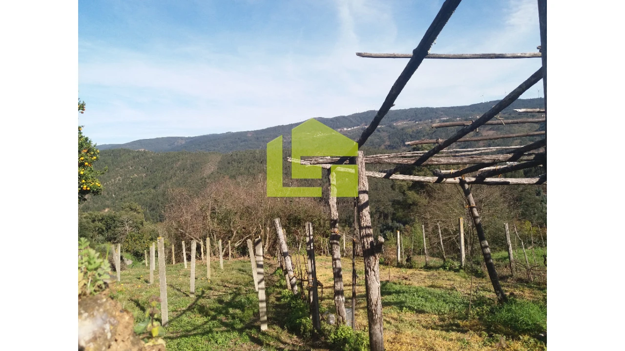 Moradia para Venda em Vila Nova Foto 9