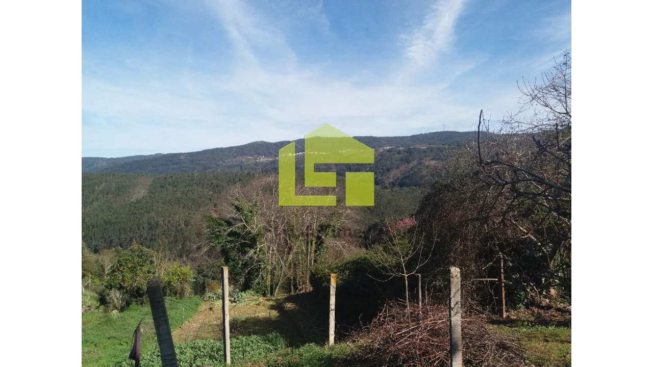 Moradia para Venda em Vila Nova Foto 11