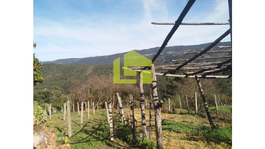 Moradia para Venda em Vila Nova Foto 9