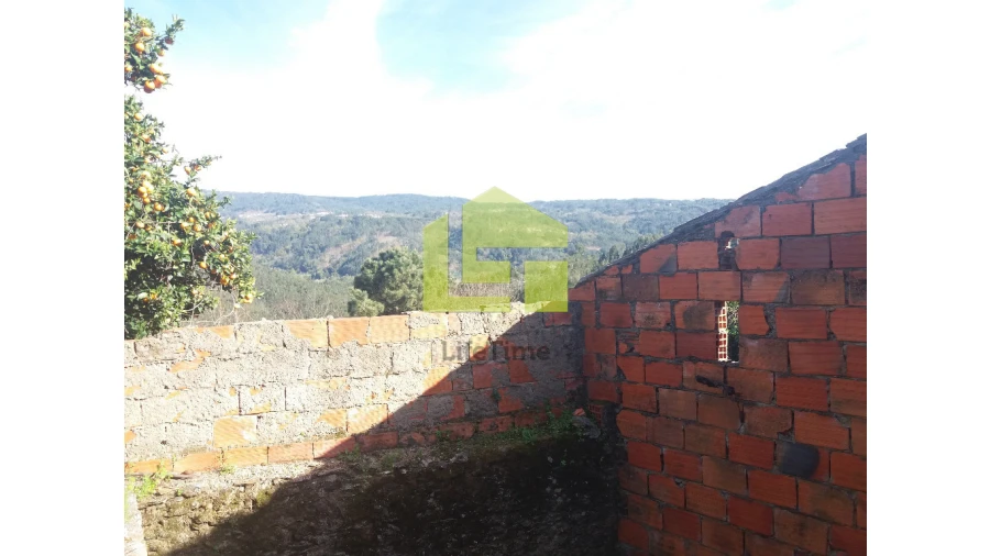 Moradia para Venda em Vila Nova Foto 6