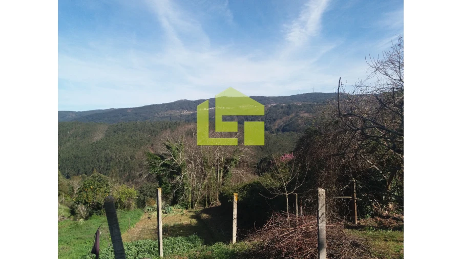 Moradia para Venda em Vila Nova Foto 11