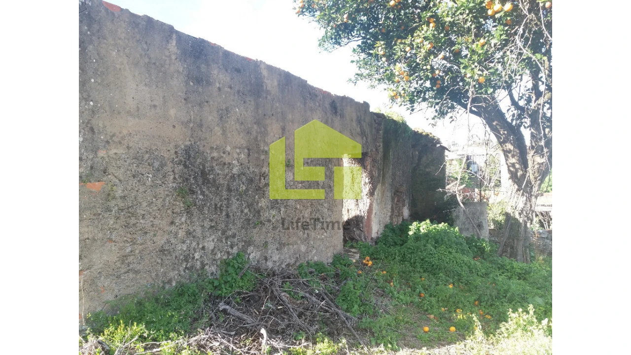 Moradia para Venda em Vila Nova Foto 3