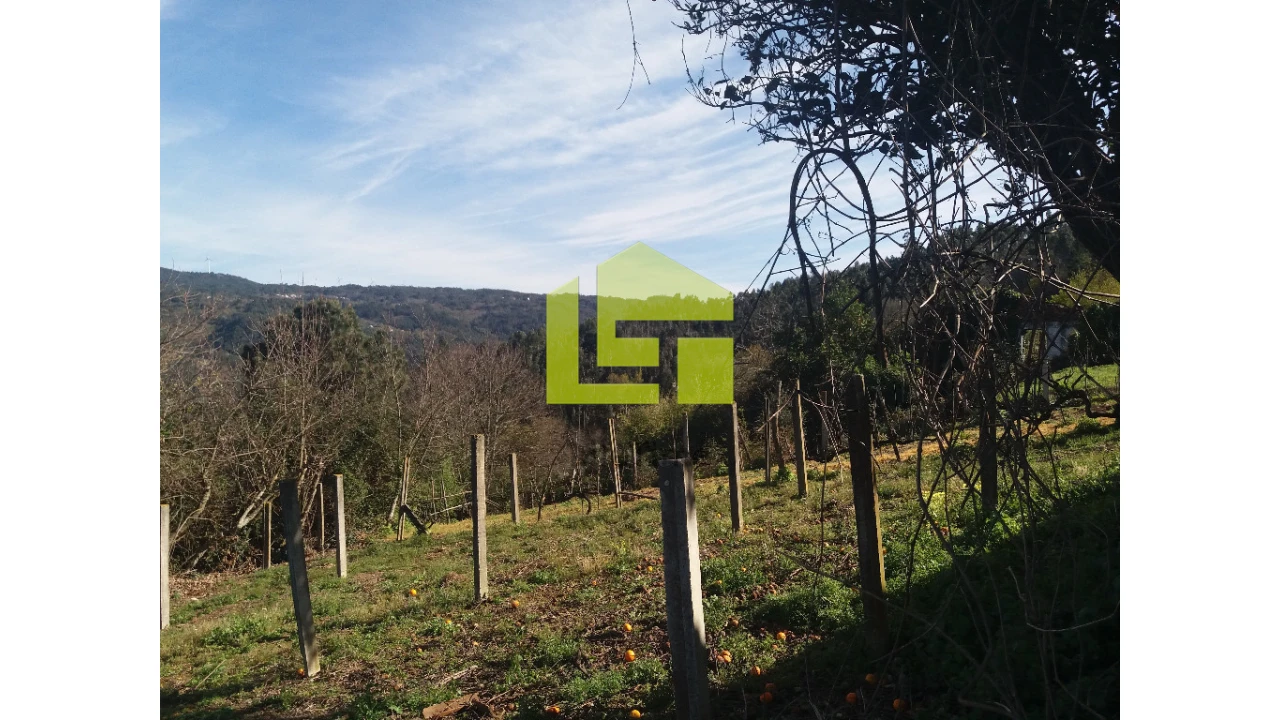 Moradia para Venda em Vila Nova Foto 8