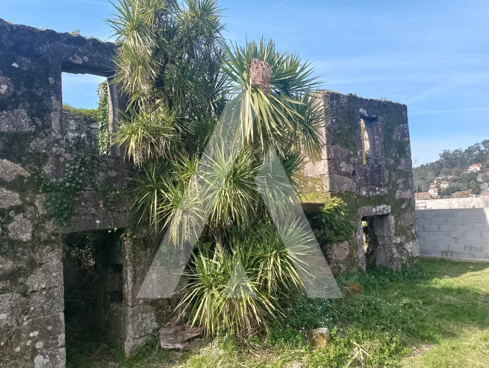 Terreno para Venda em Subportela, Deocriste e Portela Susã Foto 4
