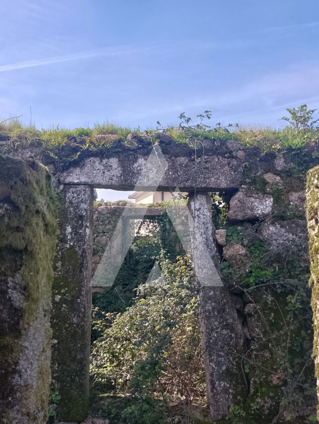 Terreno para Venda em Subportela, Deocriste e Portela Susã Foto 7