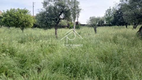 Moradia T4 para Venda em Santo Andre das Tojeiras