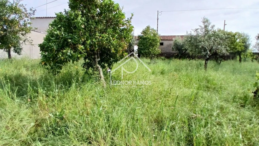 Moradia T4 para Venda em Santo Andre das Tojeiras Foto 43
