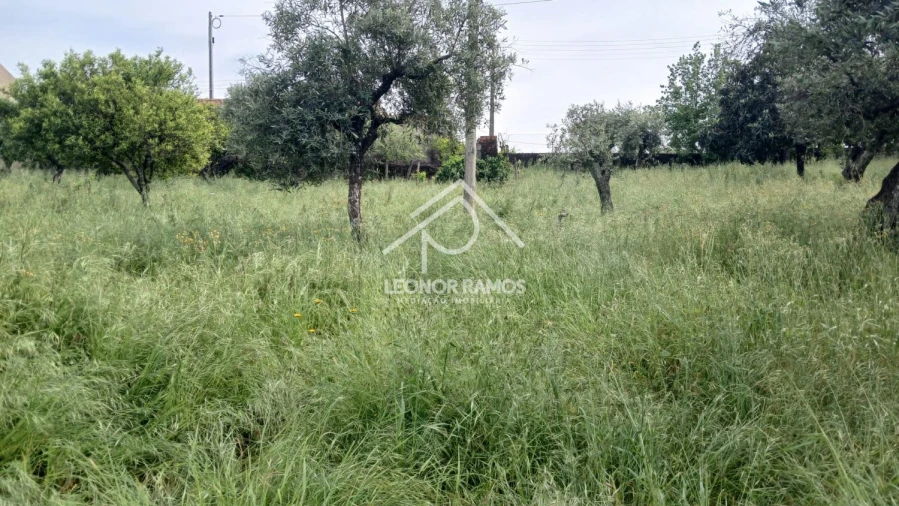 Moradia T4 para Venda em Santo Andre das Tojeiras Foto 44