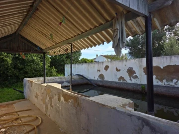 Quinta T10 para Venda em Faro (Sé e São Pedro)