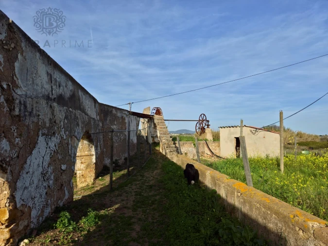 Quinta T10 para Venda em Faro (Sé e São Pedro) Foto 7