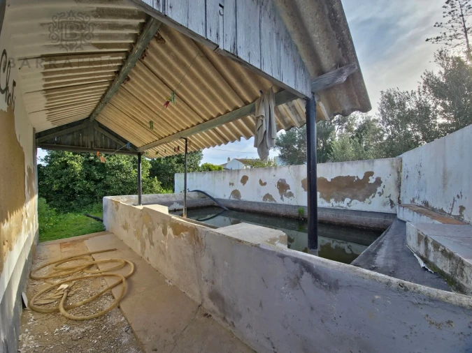 Quinta T10 para Venda em Faro (Sé e São Pedro) Foto 12