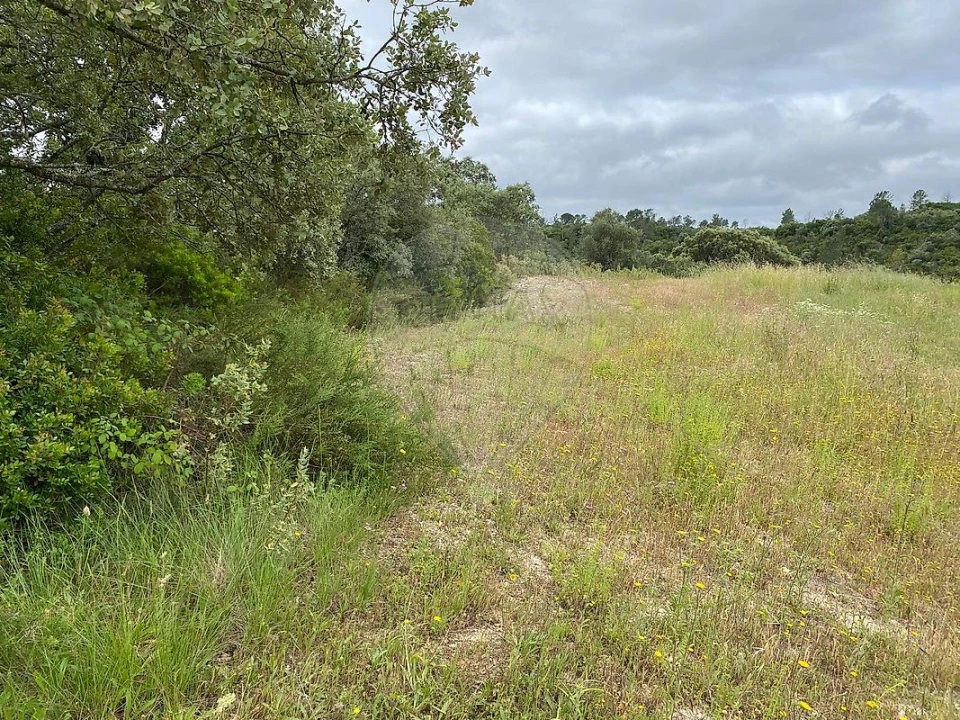 Terreno para Venda em Achete, Azoia de Baixo e Póvoa de Santarém Foto 5