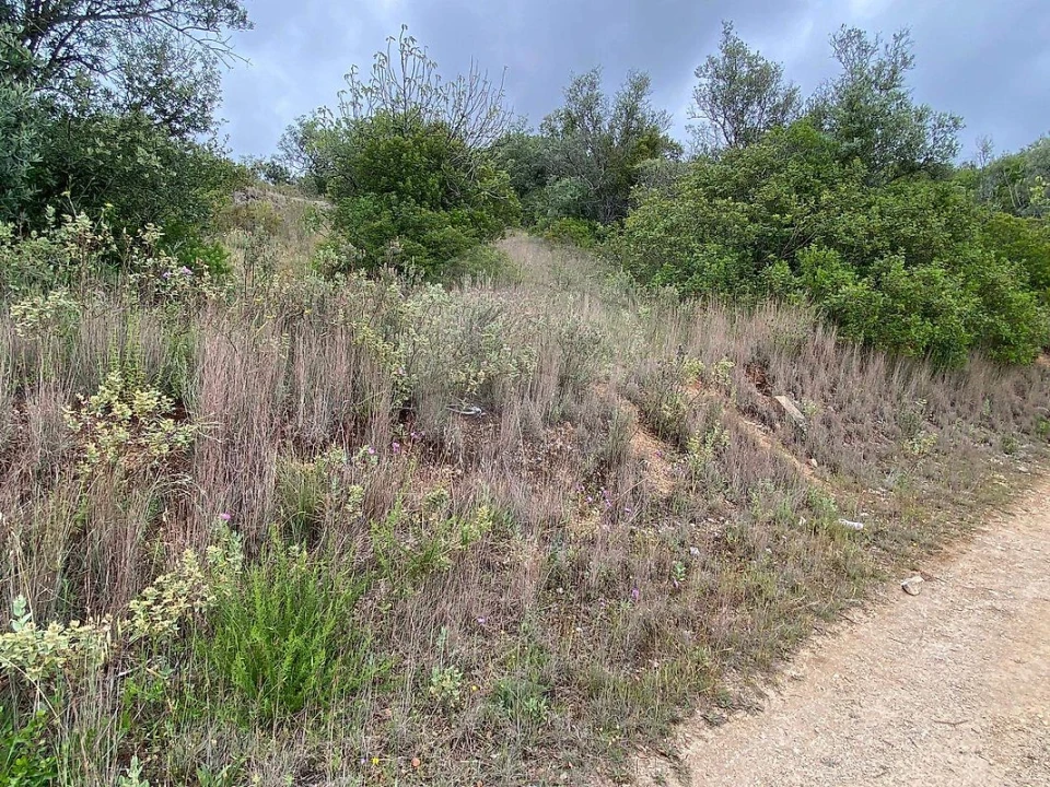 Terreno para Venda em Achete, Azoia de Baixo e Póvoa de Santarém Foto 4
