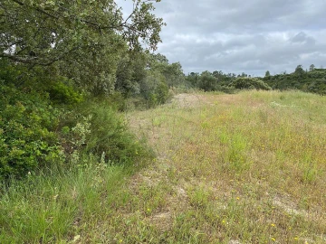 Terreno para Venda em Achete, Azoia de Baixo e Póvoa de Santarém