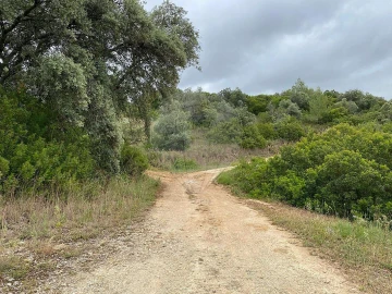 Terreno para Venda em Achete, Azoia de Baixo e Póvoa de Santarém