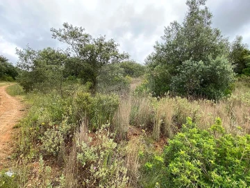 Terreno para Venda em Achete, Azoia de Baixo e Póvoa de Santarém