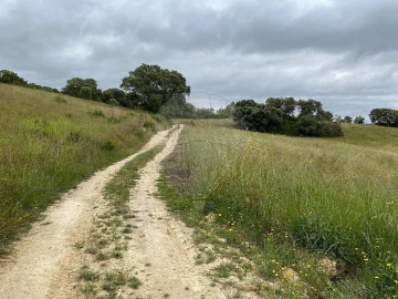Terreno para Venda em Achete, Azoia de Baixo e Póvoa de Santarém