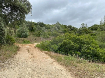 Terreno para Venda em Achete, Azoia de Baixo e Póvoa de Santarém