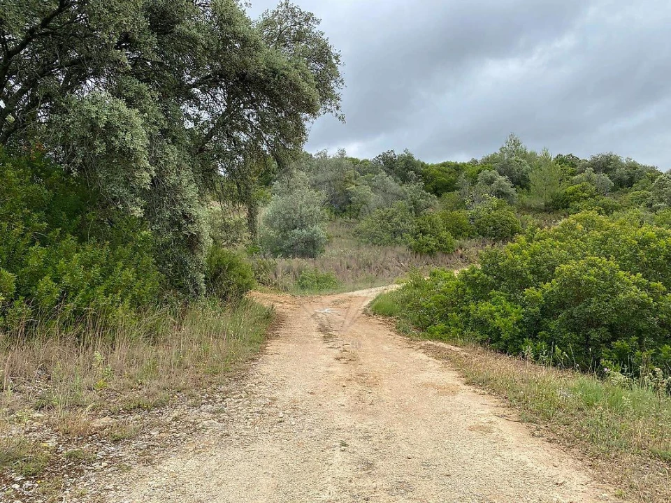 Terreno para Venda em Achete, Azoia de Baixo e Póvoa de Santarém Foto 3